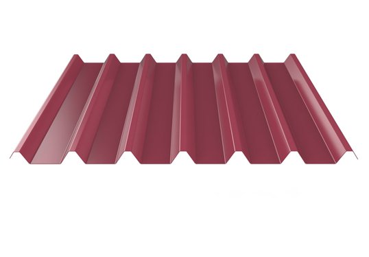 Metal Roof and Trapezes