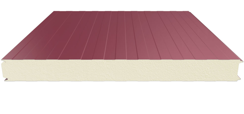 Cold Storage Room Panel